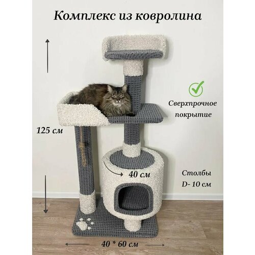 Когтеточка 