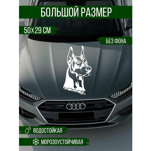 Наклейка на авто - 