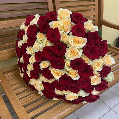 фото Живые цветы букет красных и кремовых роз 101 шт. 50 см. "моя любовь" rurose