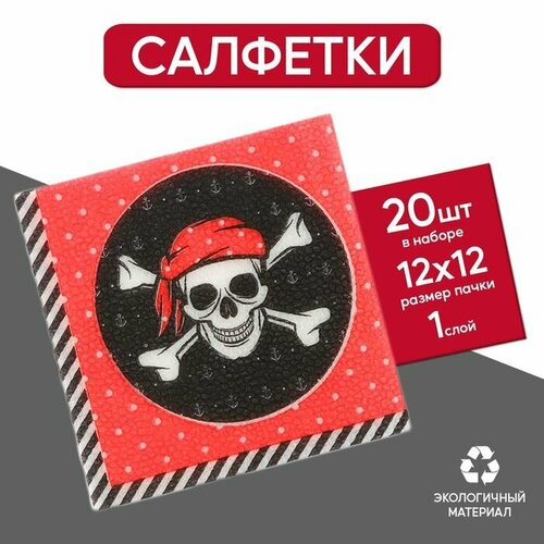 cалфетки пират 25х25 см набор 20 шт Cалфетки Пират, 25х25 см, набор 20 шт.