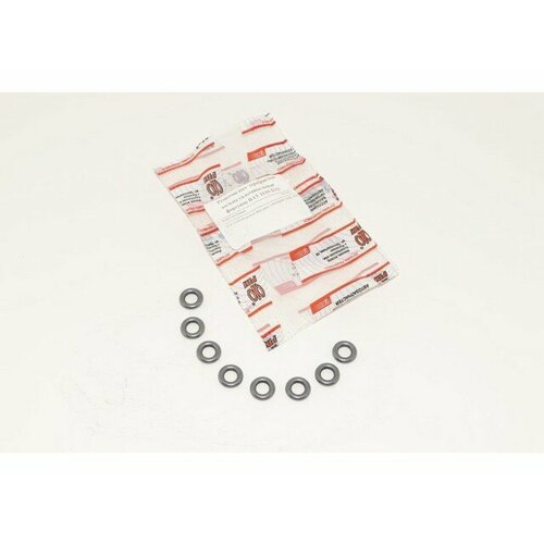 Кольца форсунок ВАЗ 2112 серебристые 00027665ALT 315₽