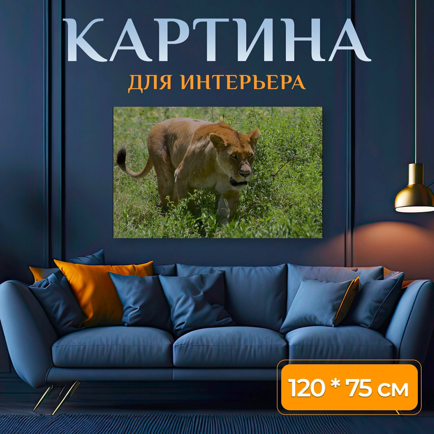Картина на холсте "Львица, лев, сафари" на подрамнике 120х75 см. для интерьера