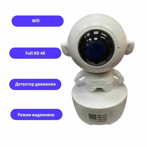 Wifi видеокамера Астронавт деньночь с датчиком движения и режимом видеоняни 268400₽
