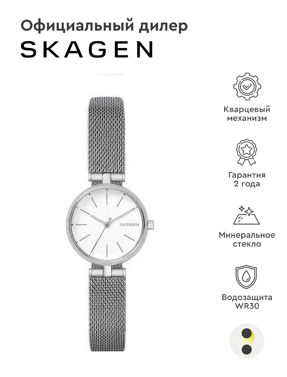 Наручные часы SKAGEN SKW2642, белый