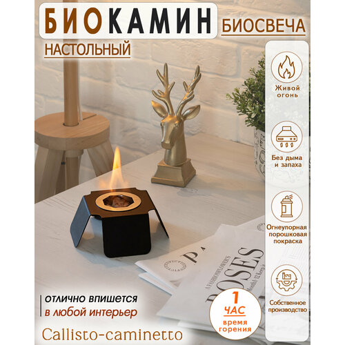 Биокамин настольный Callisto-caminetto, биосвеча Гестия 4 С003.0А00
