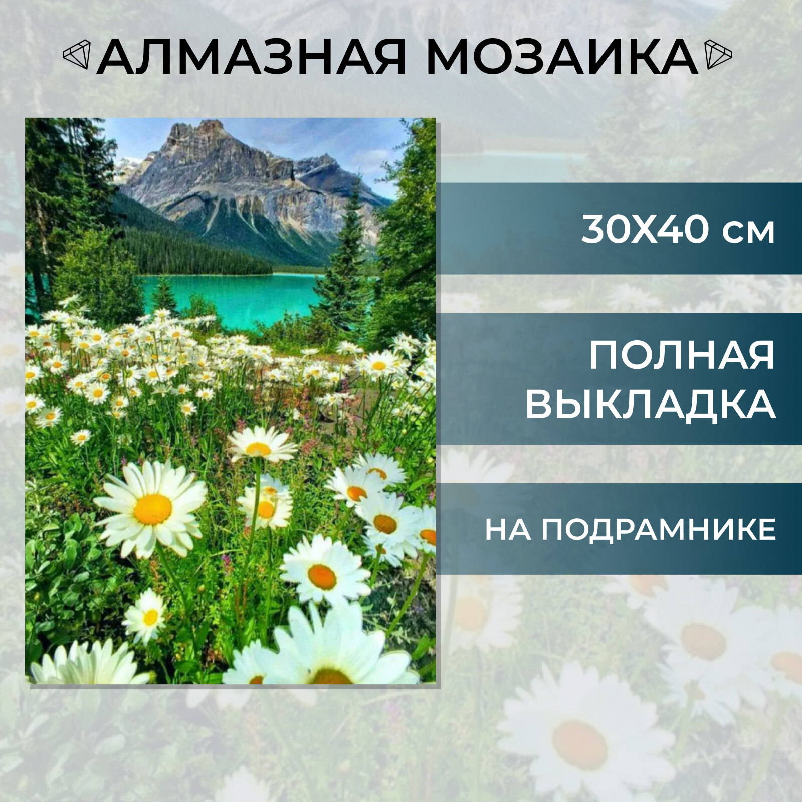 Алмазная мозаика на подрамнике Живопись Вышивка Картина стразами 30х40 см, Пейзаж Ромашки в горах, полная выкладка