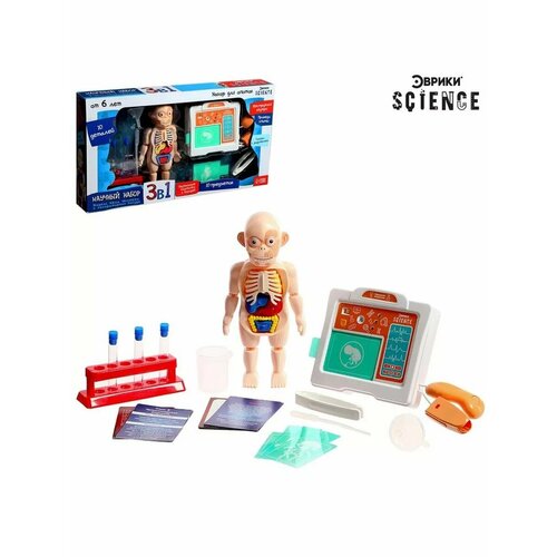 Набор для опытов 3 в 1 Органы человека УЗИ 1347₽