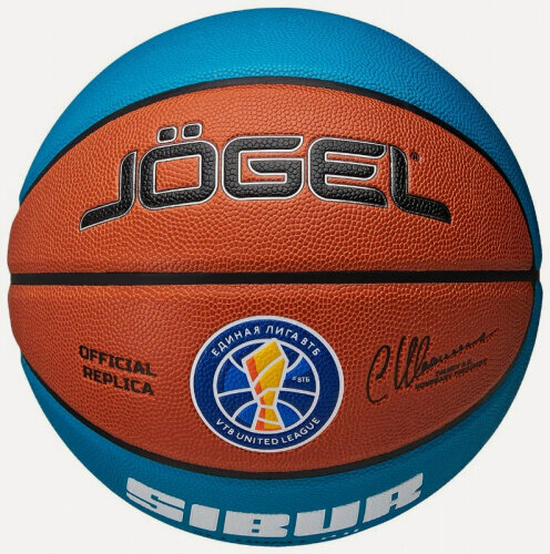 Изображение товара Мяч баскетбольный Jogel Pro Training ECOBALL 2.0 Replica №7