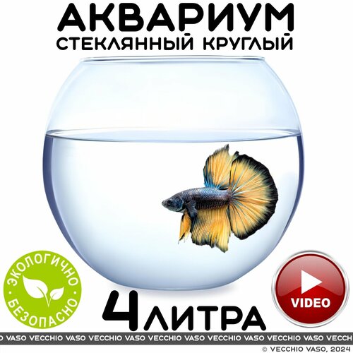 Аквариум vecchio vaso шар круглый стеклянный для рыбок 4 литра