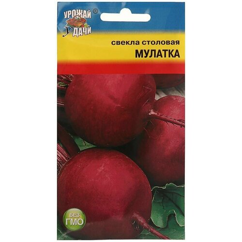 Семена Свекла 