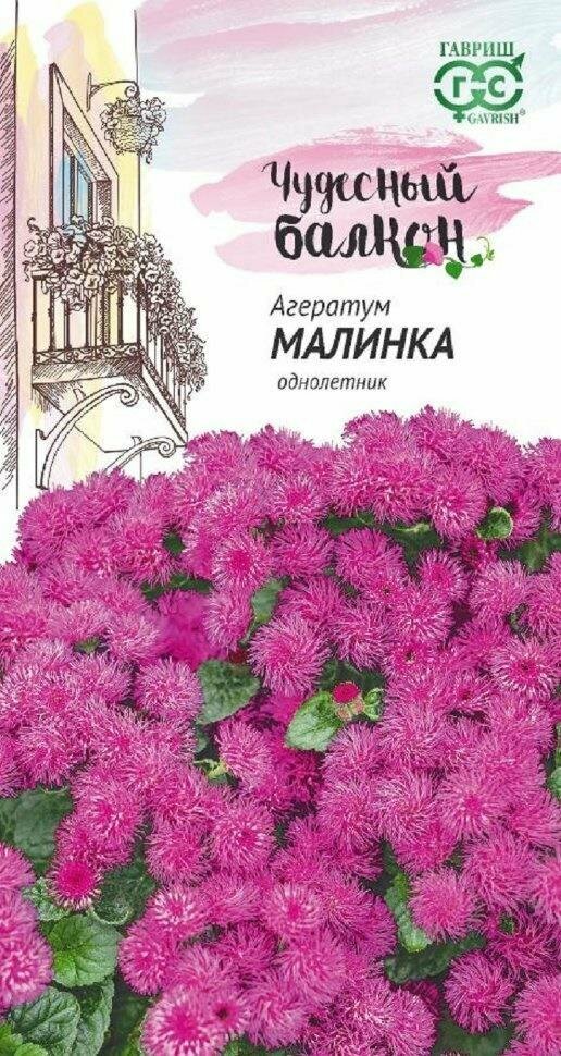 Цена за 10 пачек! Семена Агератум Малинка 0,05г Одн 20см (Гавриш) Чудесный балкон