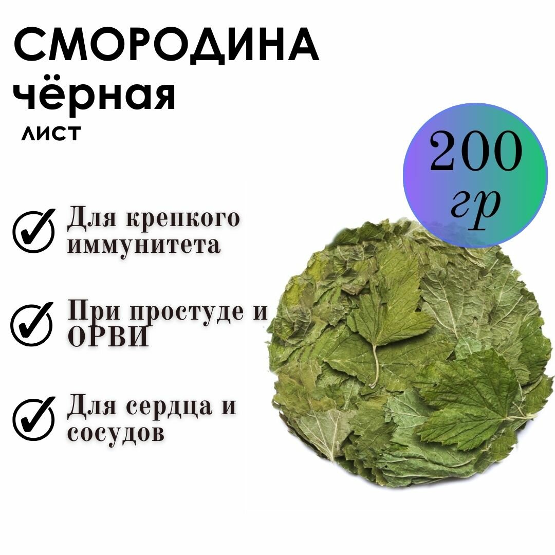 Смородина "Фито-Аптекарь" - общеукрепляющее средство для всей семьи с Горного Алтая, лист цельный 200г