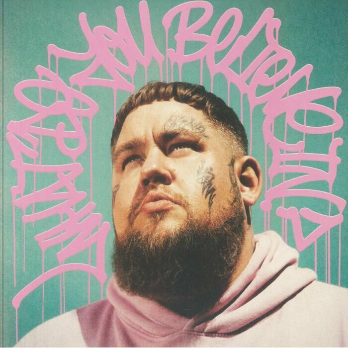 Rag 'N' Bone Man "Виниловая пластинка Rag 'N' Bone Man What Do You Believe In"
