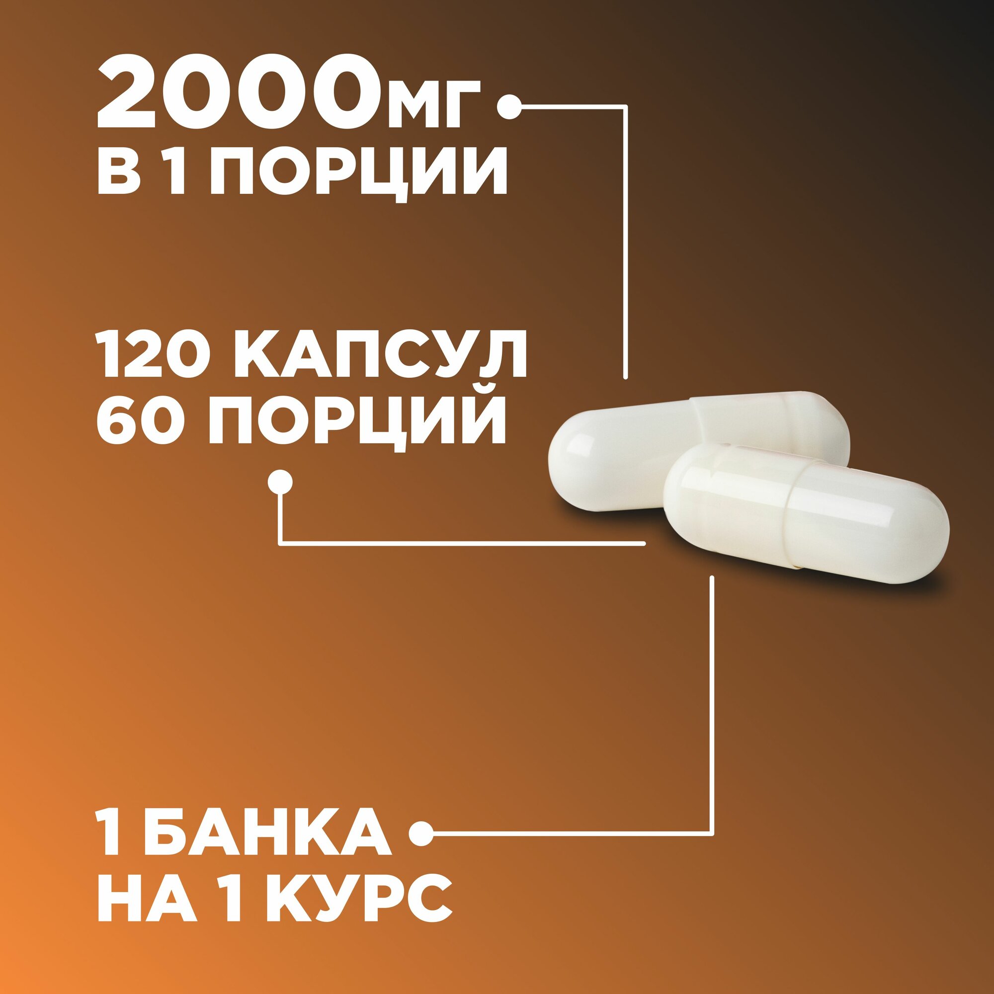 Креатин Моногидрат 2000 мг, для набора мышц и выносливости, 120 капсул PROTEIN.COMPANY — фото 1