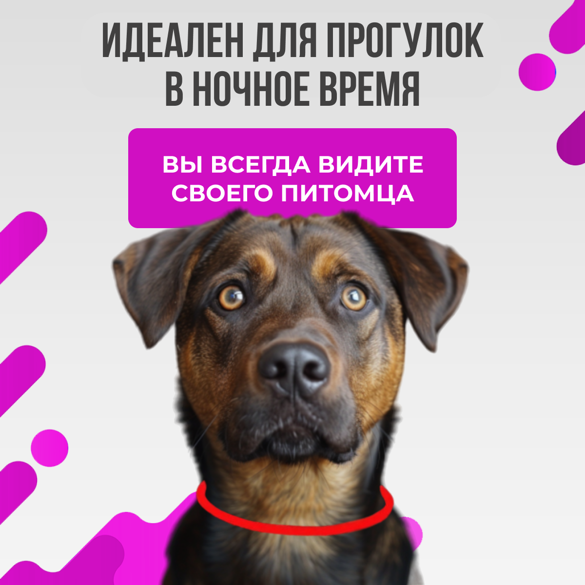 Светящийся ошейник для собак 50см красный, Светодиодный LED ошейник для собак, Дрессировка, Поводок — фото 1