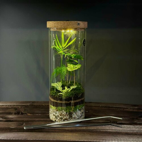 Флорариум с подсветкой от Neopure 