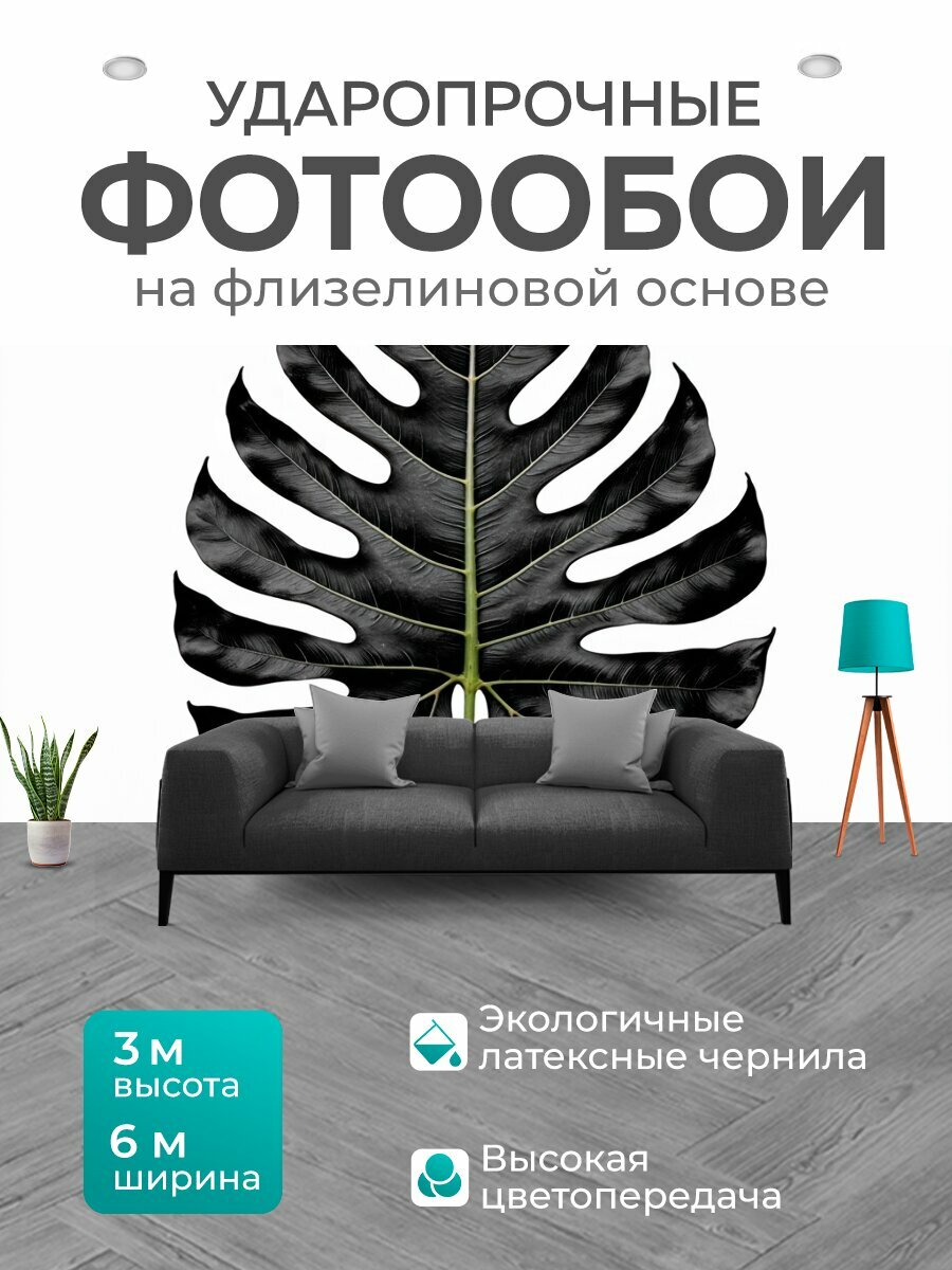 Фотообои моющиеся ударопрочные "Минималистичное изображение одного крупного листа монстеры, сконцентрированного на текстуре и форме, размещенного" 600x300 см. флизелиновые на стену