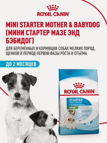 Изображение товара Сухой корм для щенков, беременных и кормящих собак Royal Canin Mini Starter Mother&Babydog для мелких пород, 3 кг