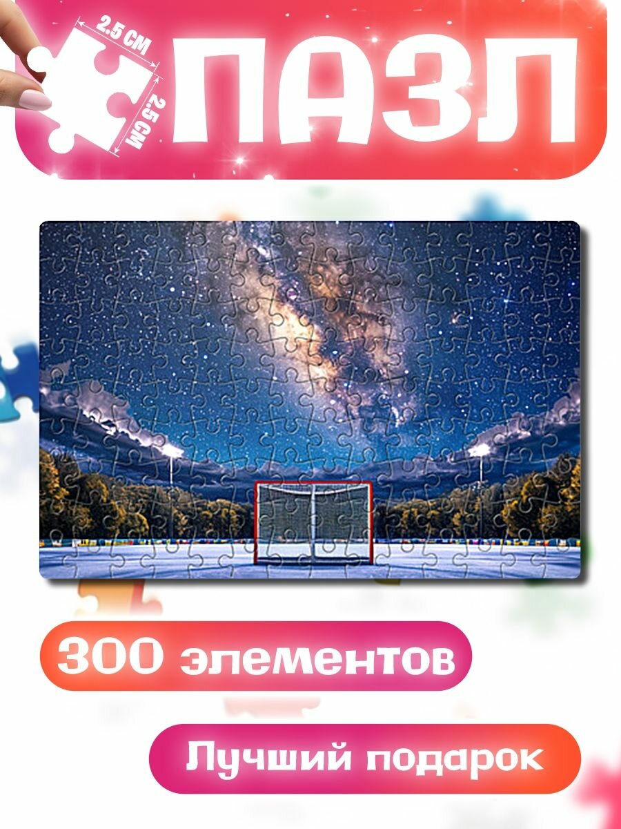 Пазлы для детей и взрослых Хоккейные ворота в ночи