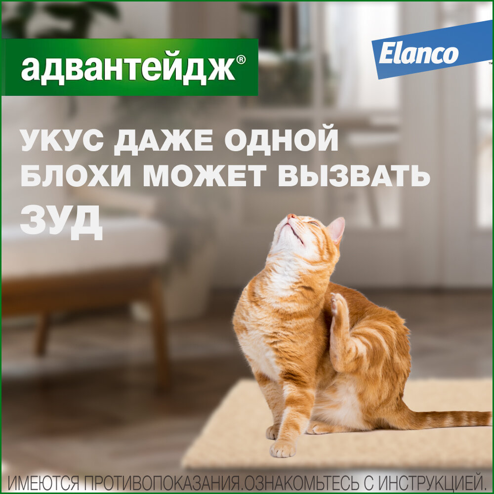Адвантейдж® (Elanco) капли на холку от блох для кошек более 4 кг - 4 пипетки — фото 1