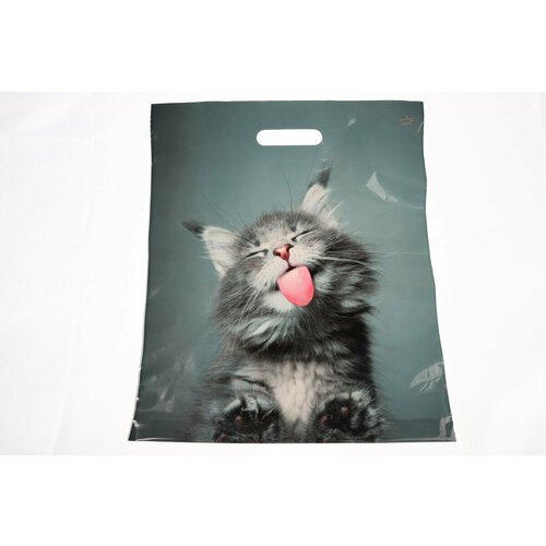 Пакет вырубной Кот 45*38/60 мкм (25 шт.)