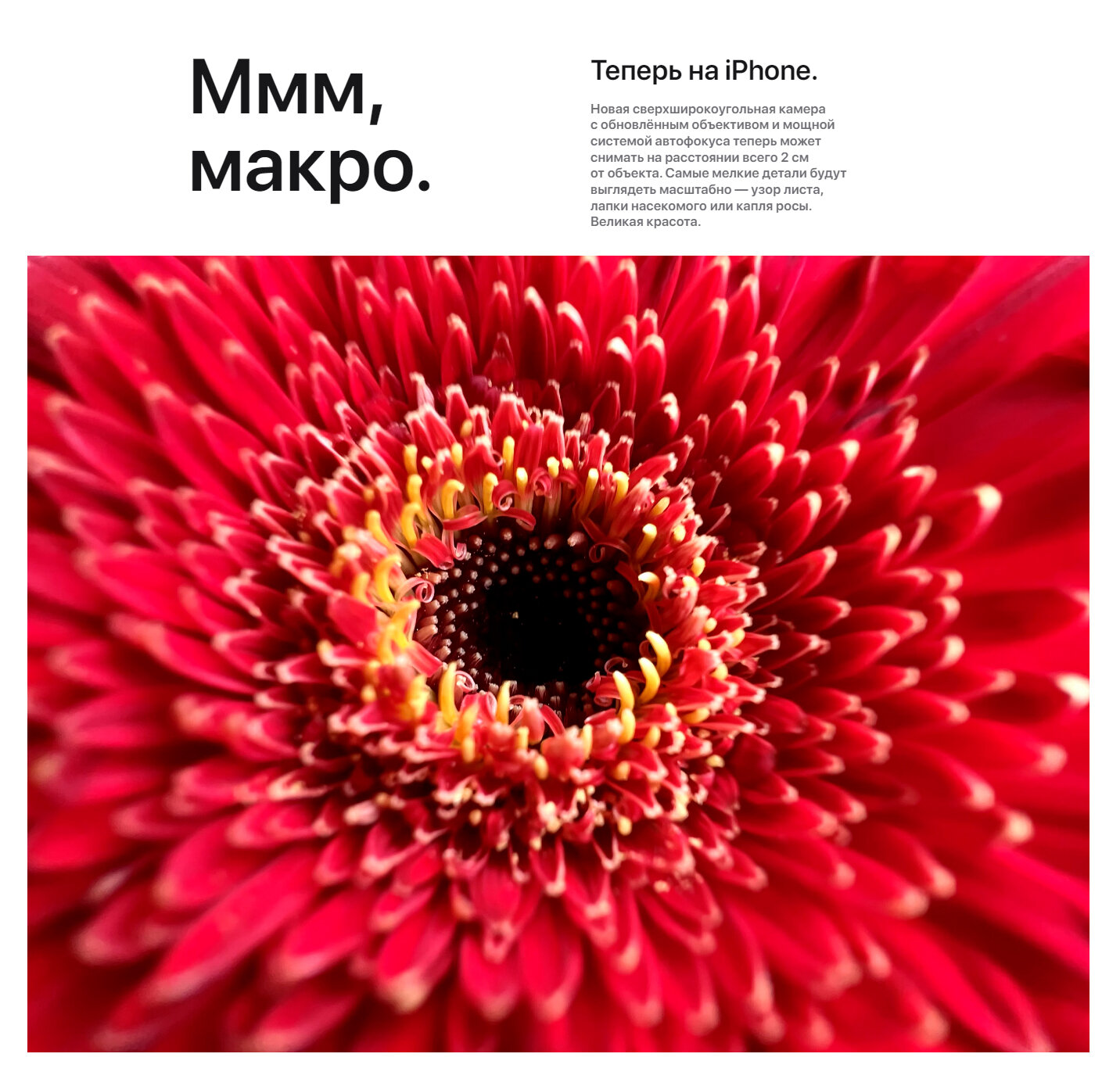 Смартфон Apple - фото №20