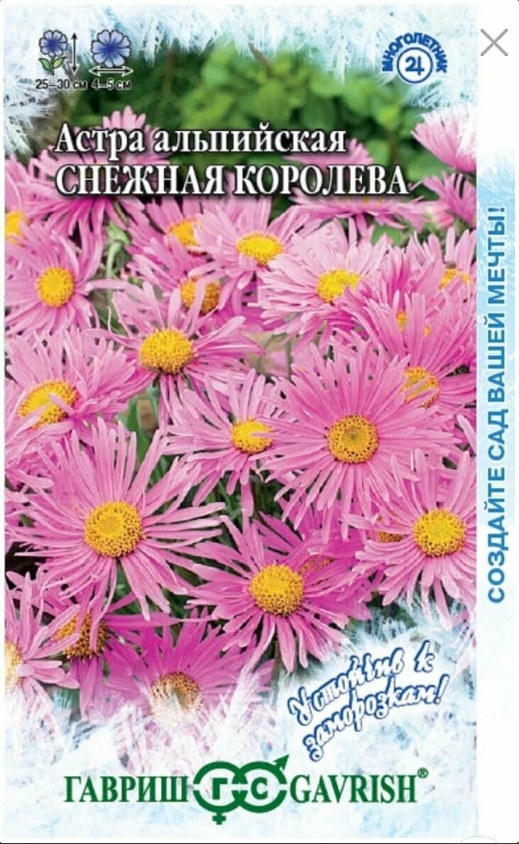 Астра альпийская Снежная королева (Розовая) 1 пакет семена 005 гр Гавриш