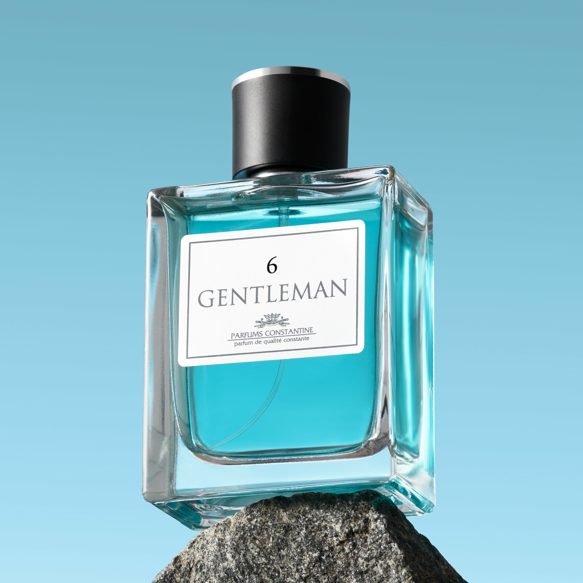 Parfums Constantine туалетная вода Gentleman №6, 100 мл