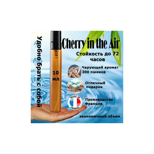 Масляные духи Cherry in the Air, женский аромат, 10 мл. set refill духи 10х8ml emerald reign benivolence tiera holiday passion de l amour chevaux d or hauts bijoux nouez moi cherry garden love in the air запаска