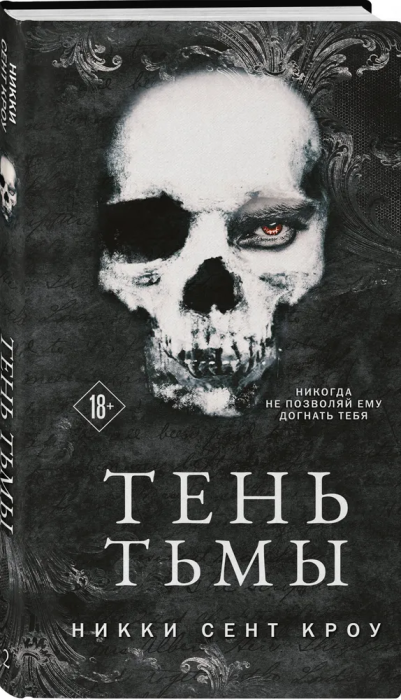 Тень Тьмы (Порочные Потерянные мальчишки #2)