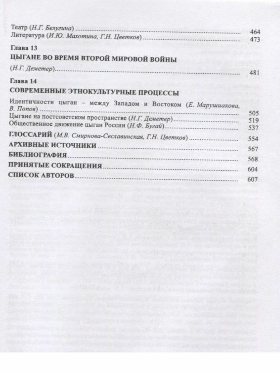 Цыгане (Смирнова-Сеславинская М. В., Цветков Г. Н., Махотина И. Ю.) - фото №17