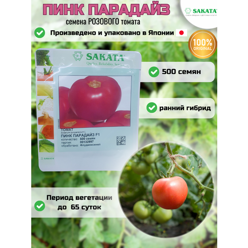 Пинк Парадайз F1 - семена томатов, 500 семян, Sakata seeds/Саката сидз (Япония)