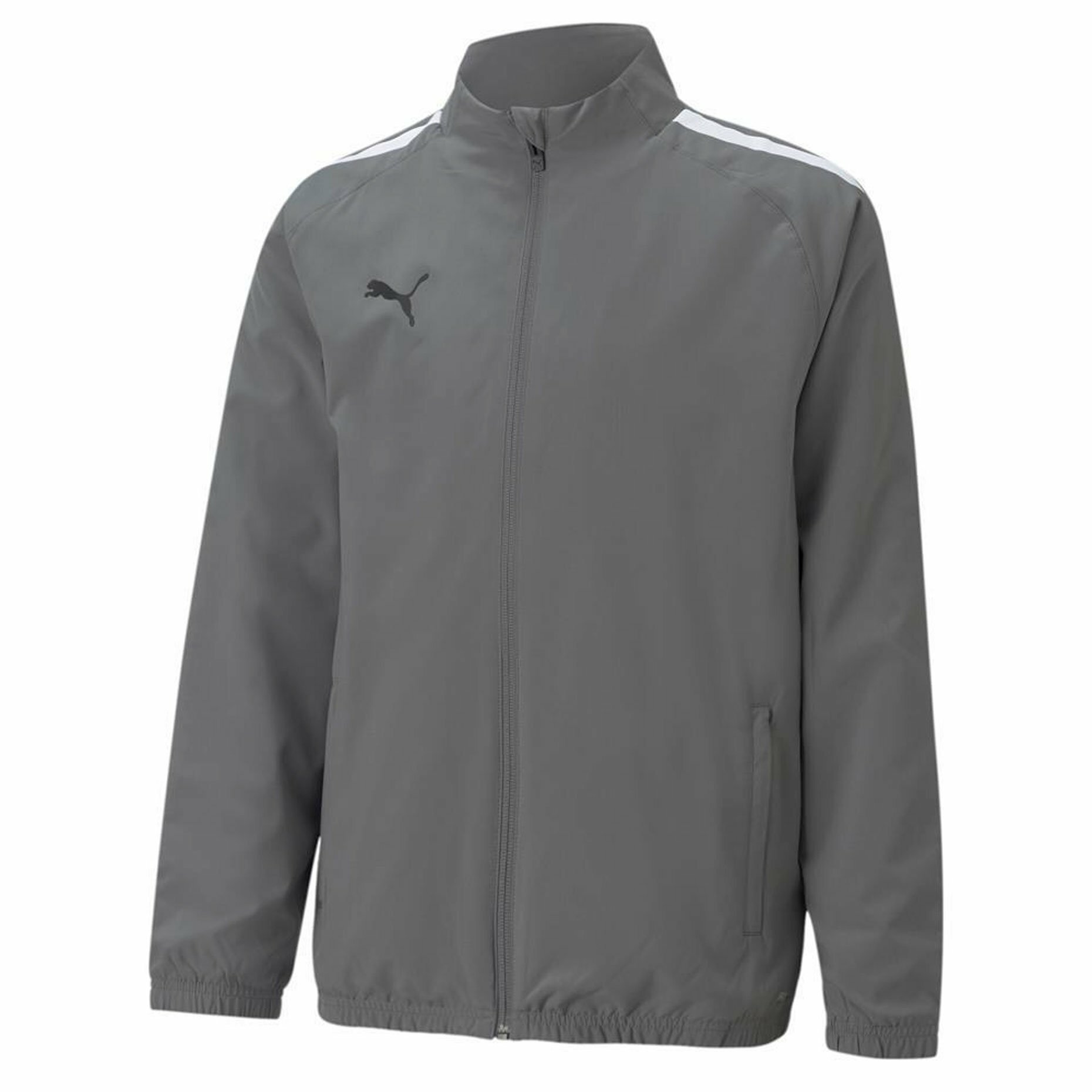 Олимпийка PUMA teamLIGA