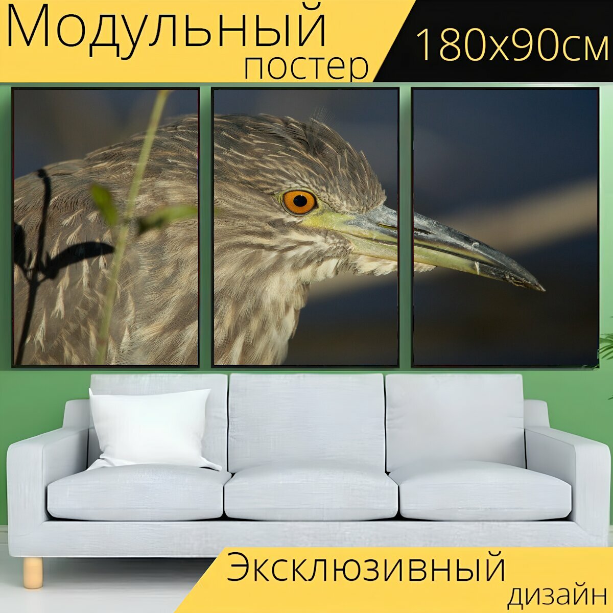Модульный постер "Кваква, птица, животное" 180 x 90 см. для интерьера