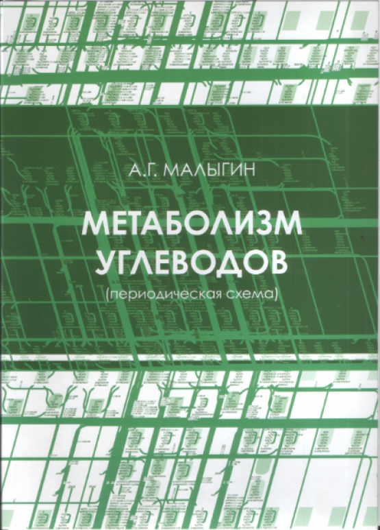 Метаболизм углеводов. Периодическая схема