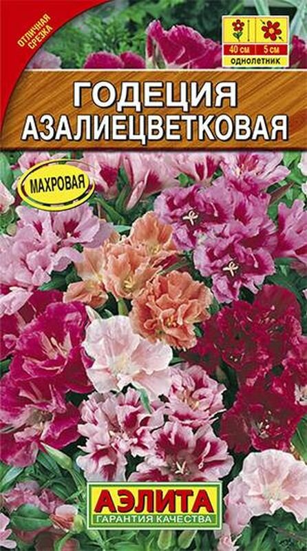 Семена Годеция Азалиецветковая махровая, смесь (однолетние) (Аэлита) 0,05г