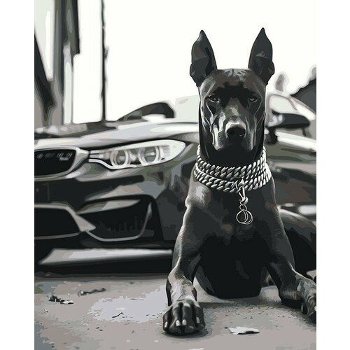 Картина по номерам Машина BMW и собака доберман чернобелая