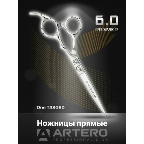 ARTERO Professional   One T48060  6, 0