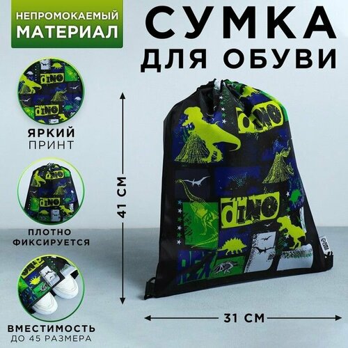 Сумка для обуви Динотайм болоньевый материал 41х31 см 656₽