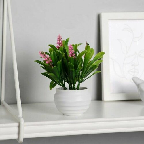 Растение искусственное в горшке Гадючий лук 55х10см микс 495₽