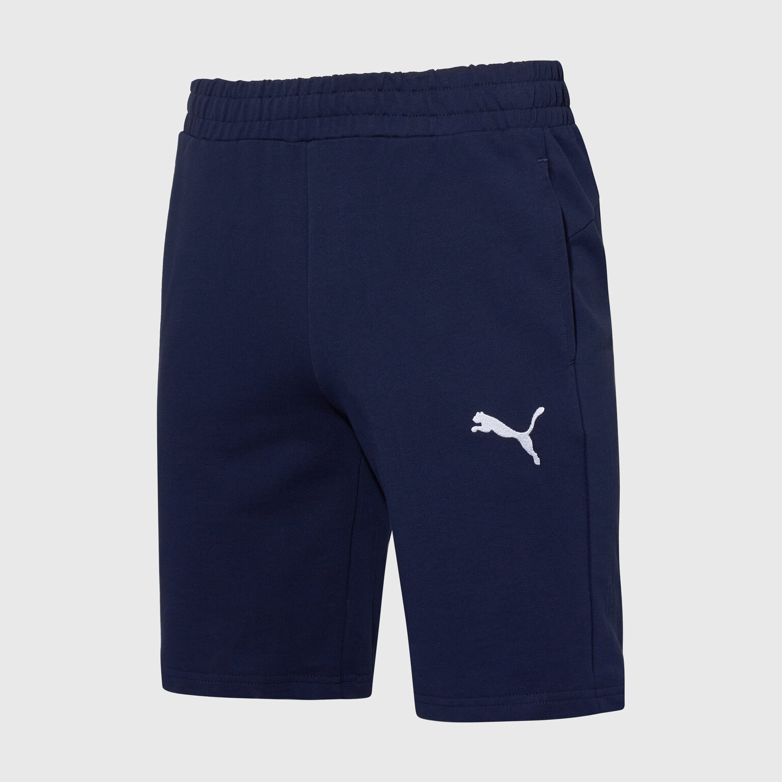 Шорты PUMA Puma Teamgoal Casuals 65860806