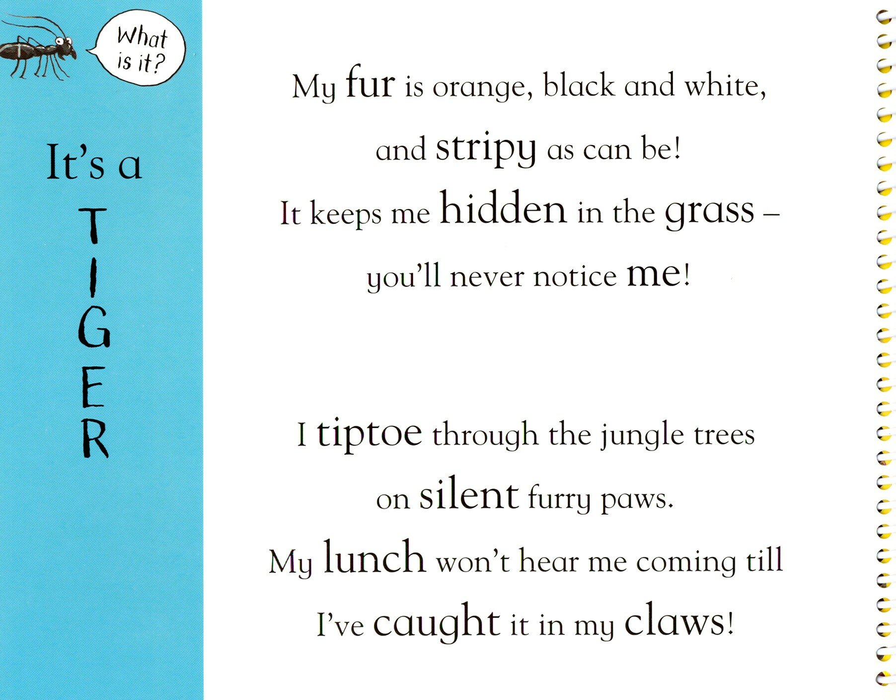 Axel Scheffler's Flip Flap Jungle / Книга на Английском - фото №3