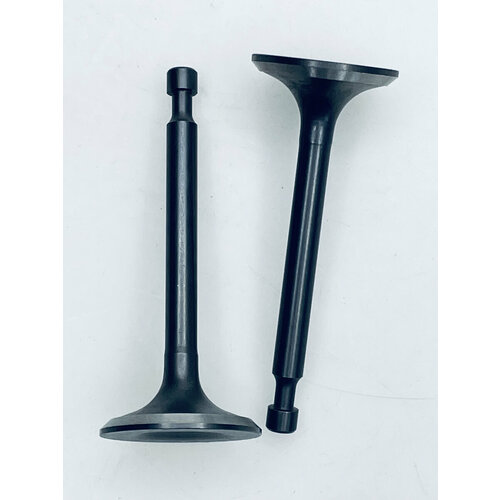 Клапан впускной + выпускной Carver Y173V 01.025.00076 №1247