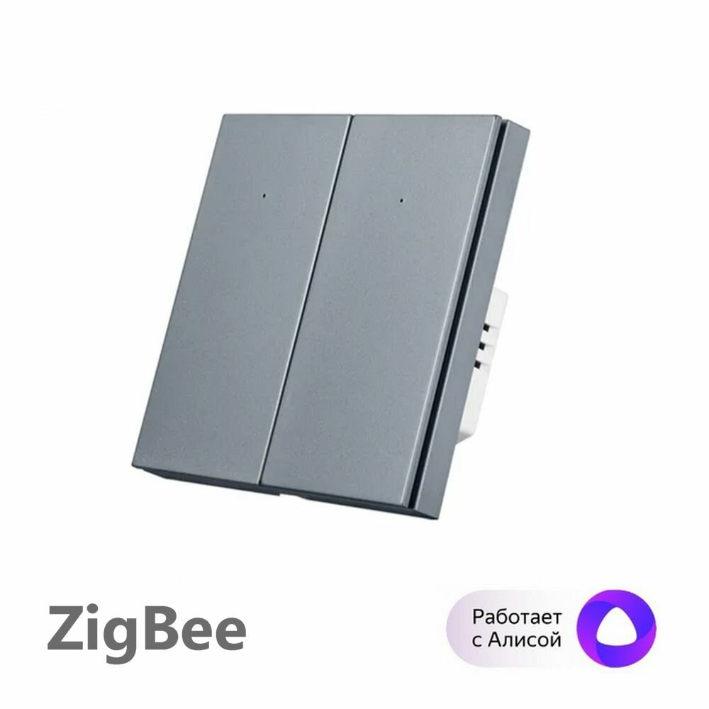 фото Умный выключатель Tuya ZigBee, две клавиши, в умный дом, Алисой