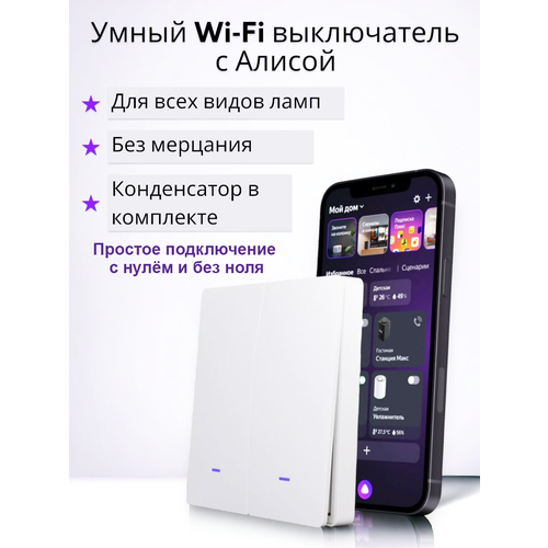 Двухклавишный выключатель с Wi-Fi, умный дом с голосовым управлением Яндекс Алиса/Сбер, белый матовый + RF433 конденсатор и инструкция в комплекте мини wifi выключатель реле tuya поддержка помощников алиса google home маруся