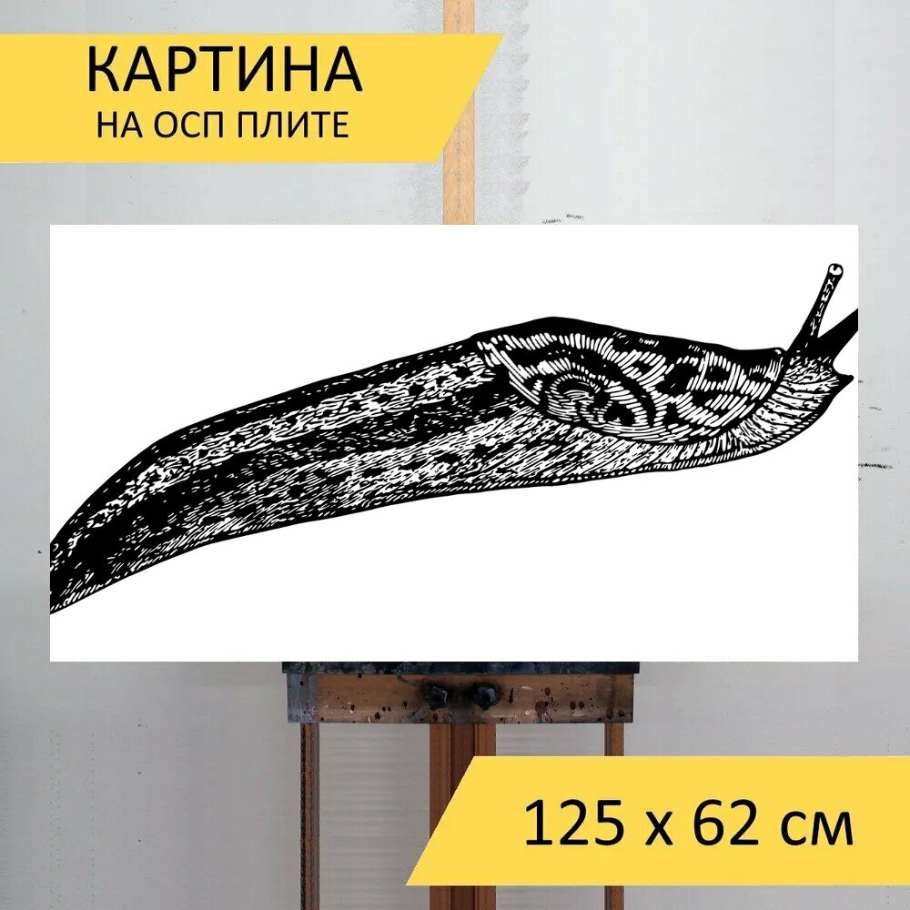 Картина на ОСП "Животное, сад, малакологии" 125x62 см. для интерьера на стену