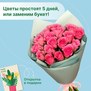 Основная фотография от вендора