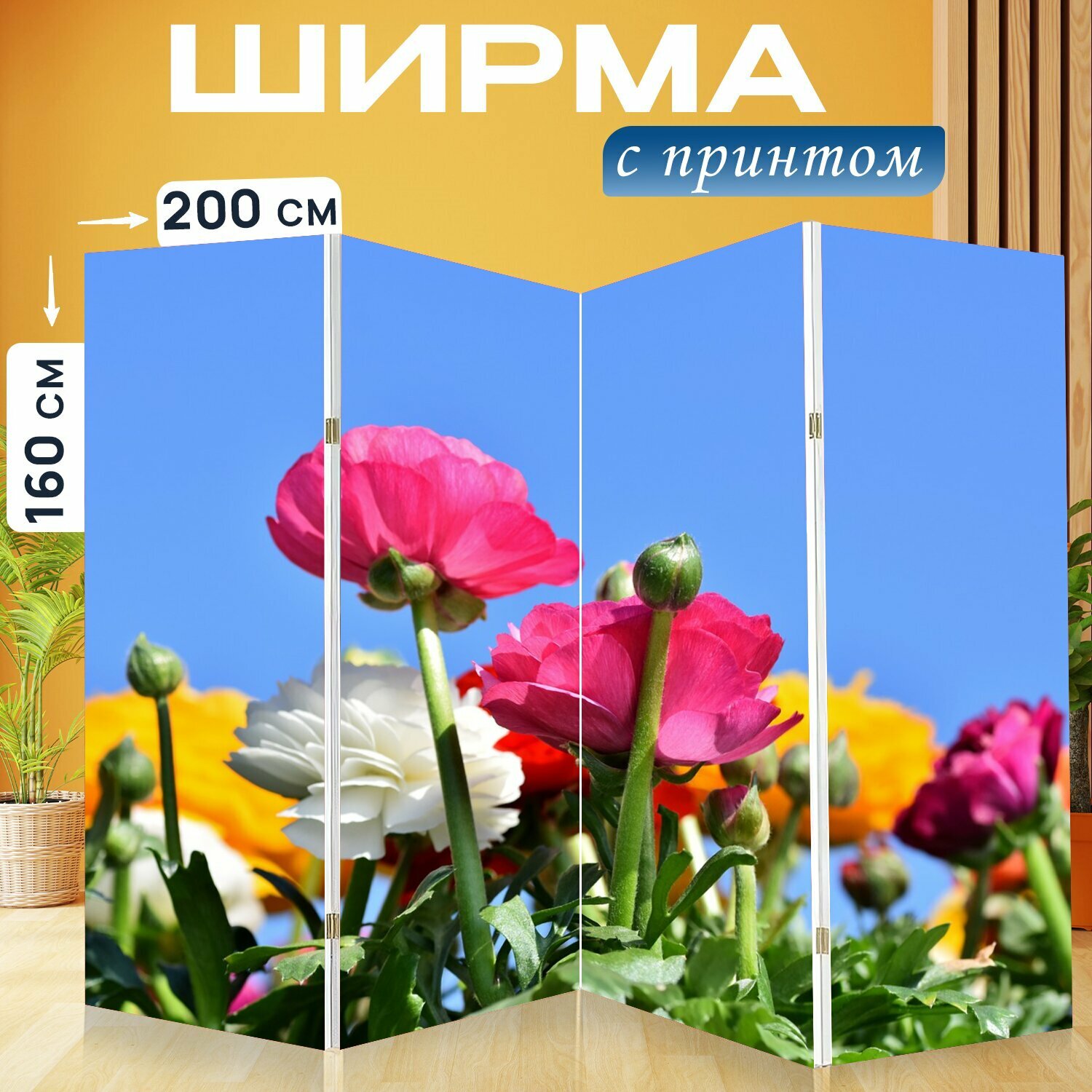 Ширма "Лютик, цветок, цвести" раскладная перегородка для зонирования с принтом на холсте