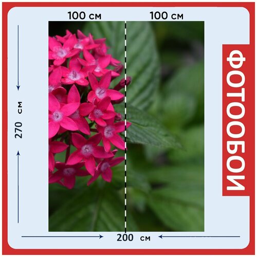 Фотообои Цветок сад розовый 200x270 см флизелиновыена стену 2970₽