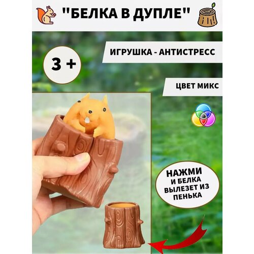 Фуфлик белка в дупле сквиш
